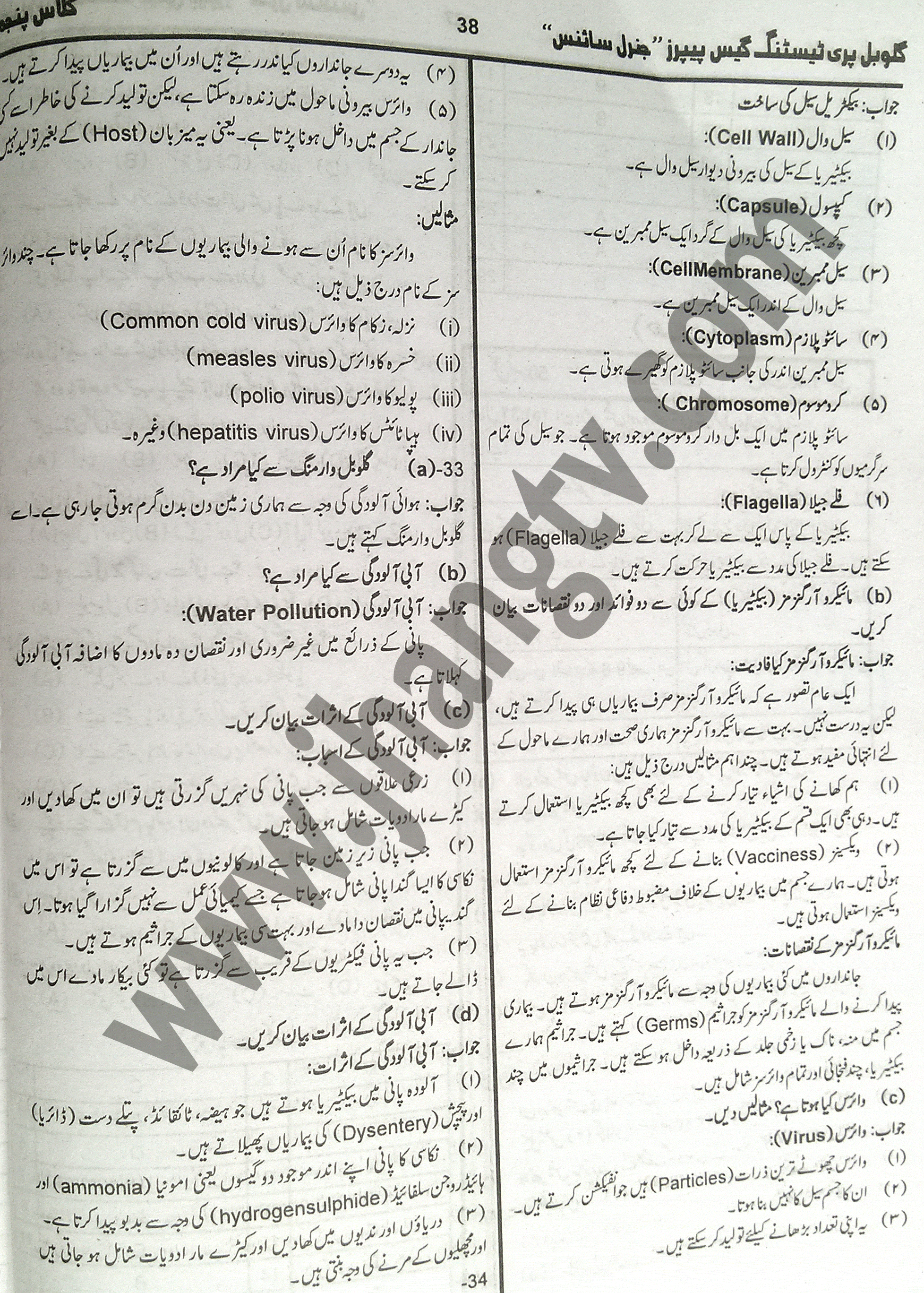 5th Class General Science Guess Papers 2015 (3)