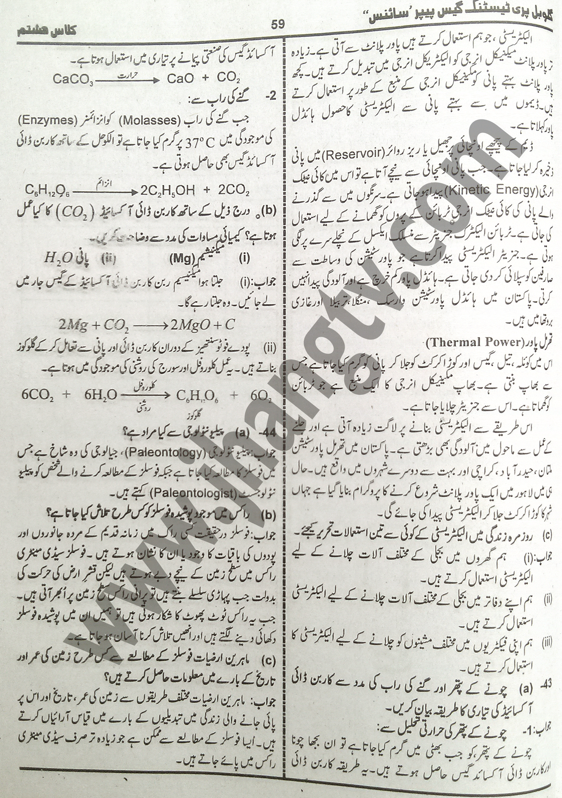 8th Class Science Guess Papers 2015 Urdu Medium (14)