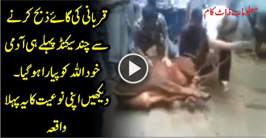 Man died before qurbani really shocking video