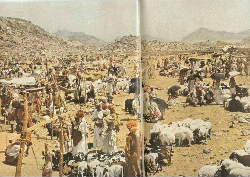 Some rare and beautiful pictures of Hajj performed in the year 1953.
