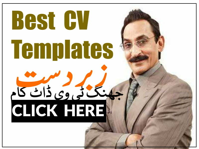 Free Professional CV Resume Design Docx CV Template Download