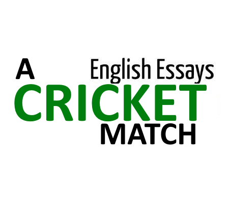 A Cricket Match English Essay for 10th 12th class pdf download