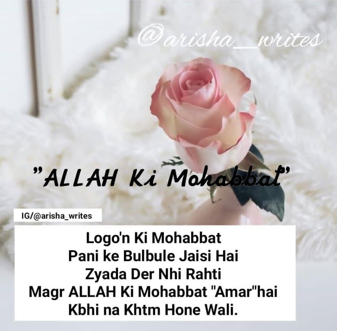 New Heart Touching Islamic Quotes in Roman English - Islamic Quotes in Urdu