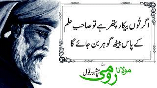 10 Best Maulana Rumi Quotes, Poetry in Urdu