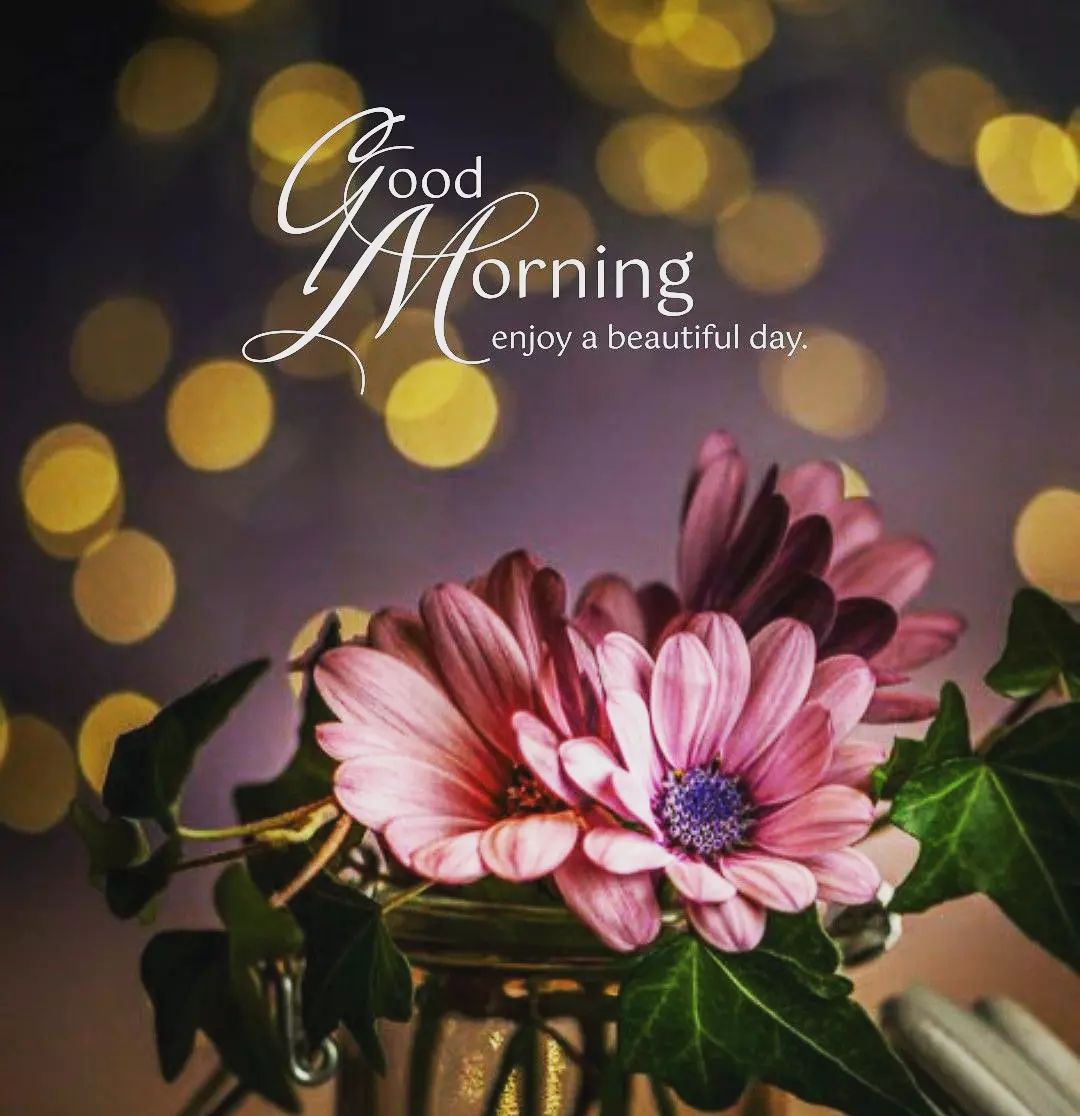 Best Good Morning Quotes in urdu,English 2022