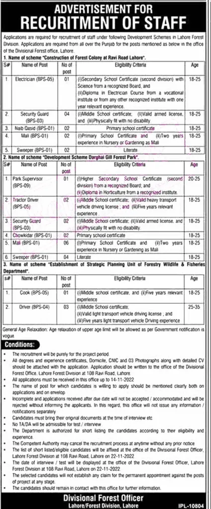 Today Jobs Forest Division of Punjab Province 2022