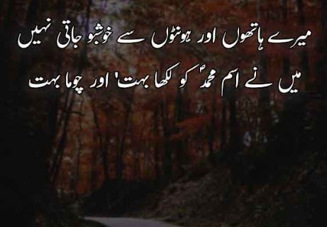 12 Rabi Ul Awal Poetry in Urdu