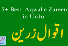 New Aqwal e Zareen in Urdu