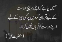 7+ Golden Words of Hazrat Ali in English