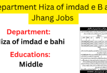 Department Hiza of imdad e B ahi Jhang Jobs
