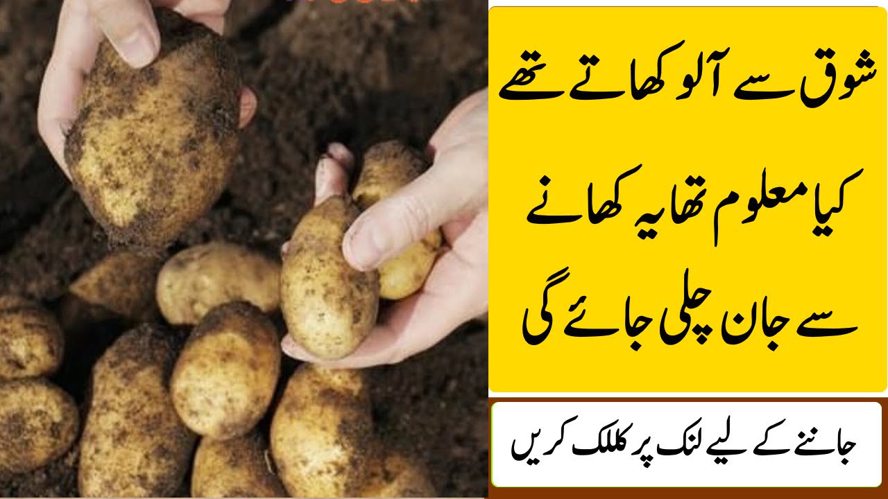 Aloo se Jaan Chali Gai - Irish Potato Famine