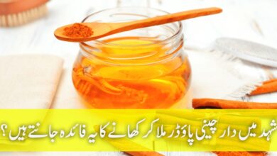Benefits of Eating Cinnamon Powder mixed with Honey