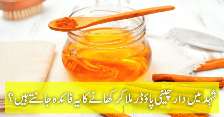 Benefits of Eating Cinnamon Powder mixed with Honey