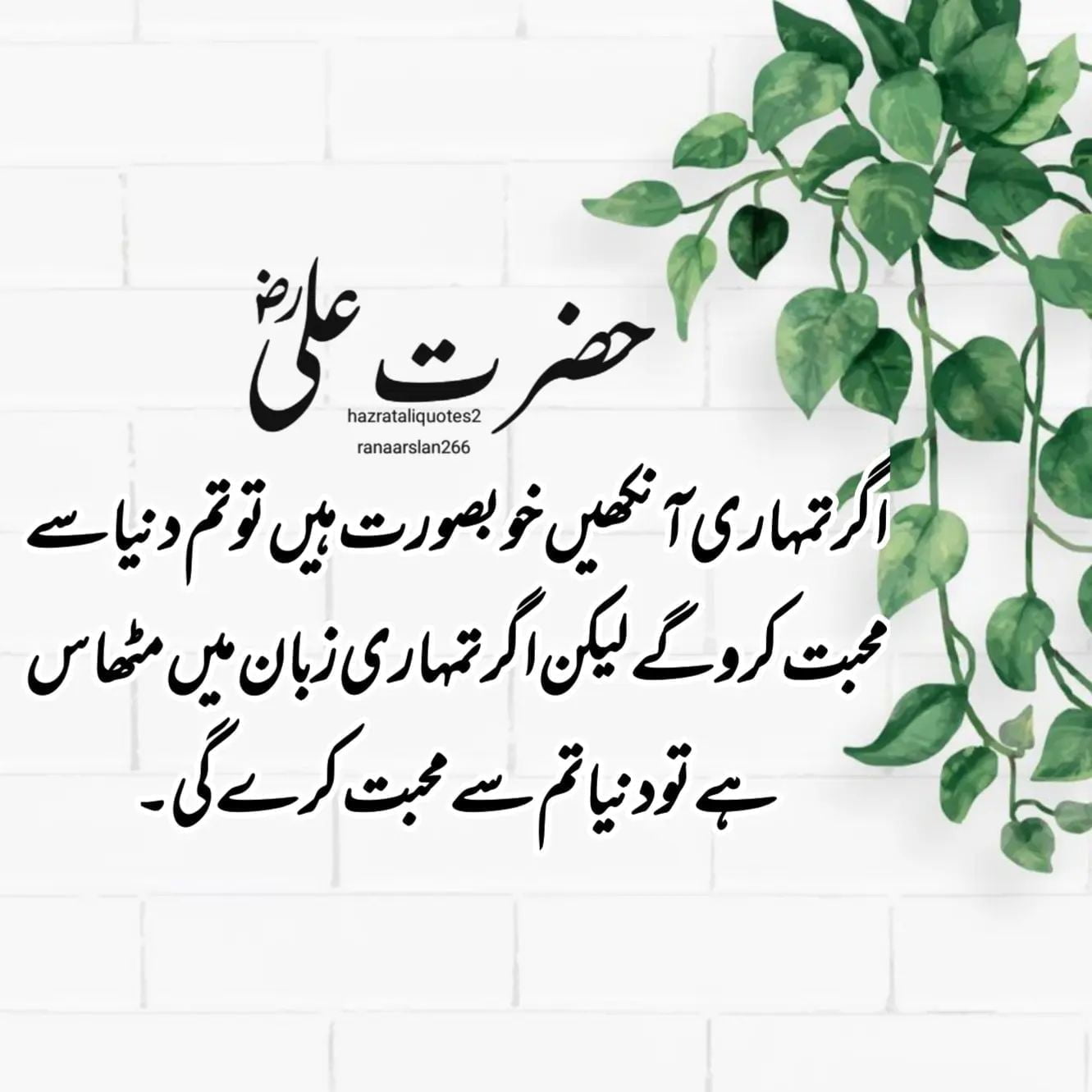 100 Best Hazrat Ali Quotes in Urdu With Images