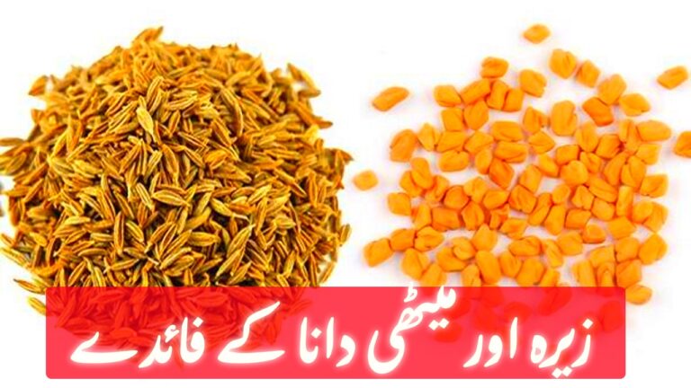 Cumin and Fenugreek ability to Cure 5 Body Problems – Urdu Health Totkay