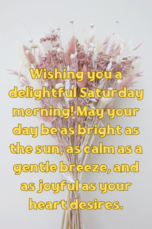 Wishing you a delightful Saturday morning! May your day be as bright as the sun, as calm as a gentle breeze, and as joyful as your heart desires.