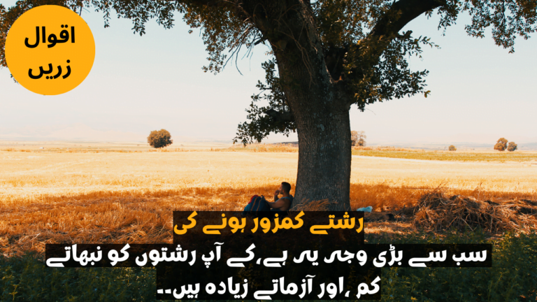 New Aqwal e Zareen in Urdu – Best Golden Words of (اقوال زریں)
