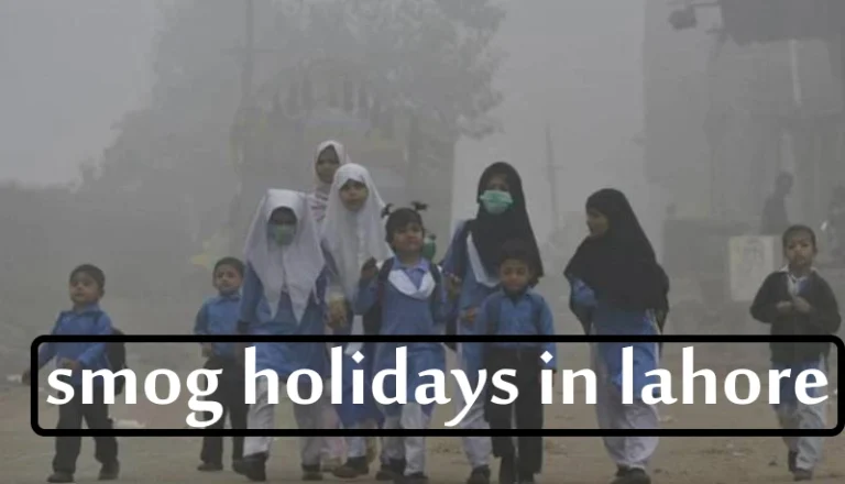 CM announced Holidays due to smog