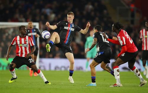 Bears Betting: Guide for Homeowners in Bear Markets